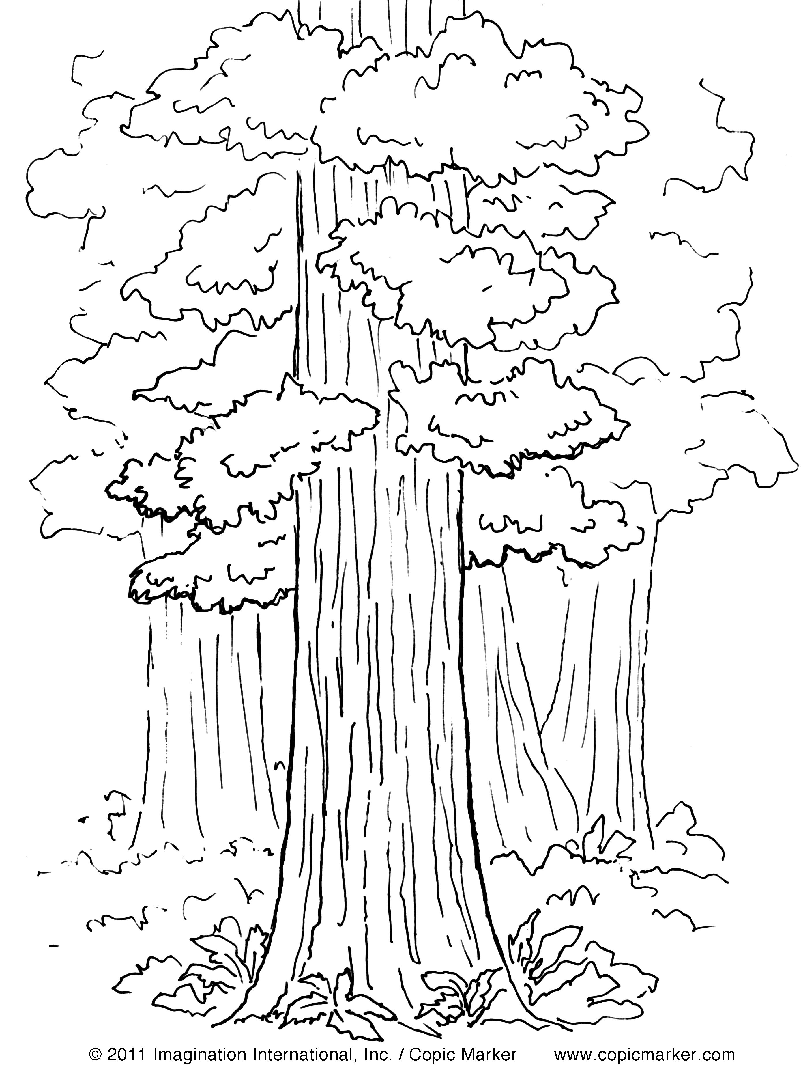 2776x3703 Abraham And Isaac Coloring Page Google Search Church Gallery