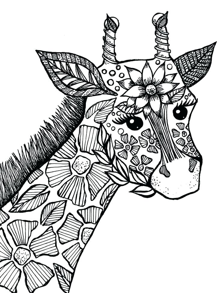 736x977 Animal Coloring Pages Adults Elegant Animal Coloring Pages