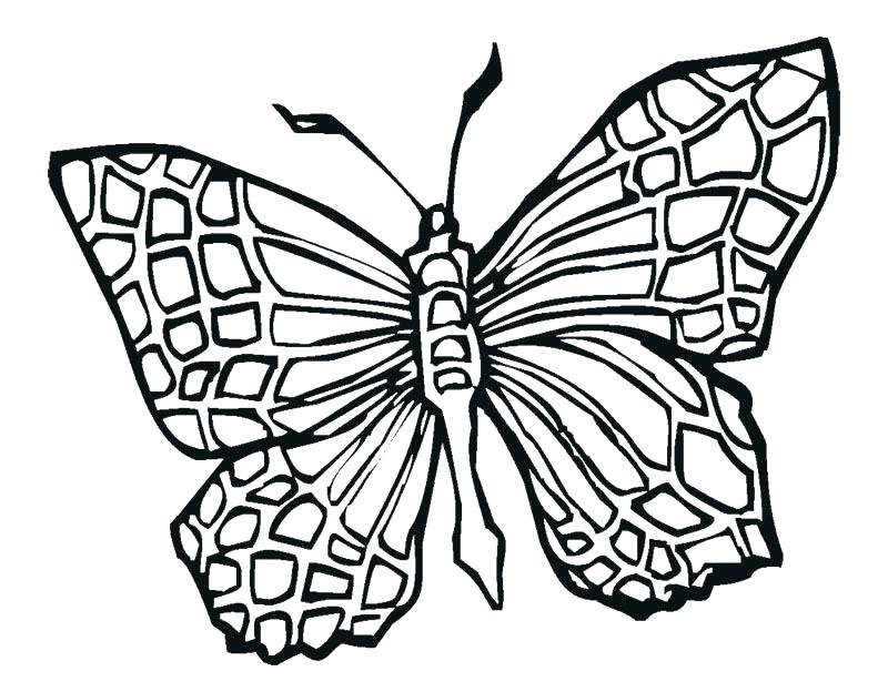 Design Coloring Page Tattoos Coloring Pages Butterfly Coloring 800x624 Design Coloring Page Tattoos Coloring Pages Butterfly Coloring