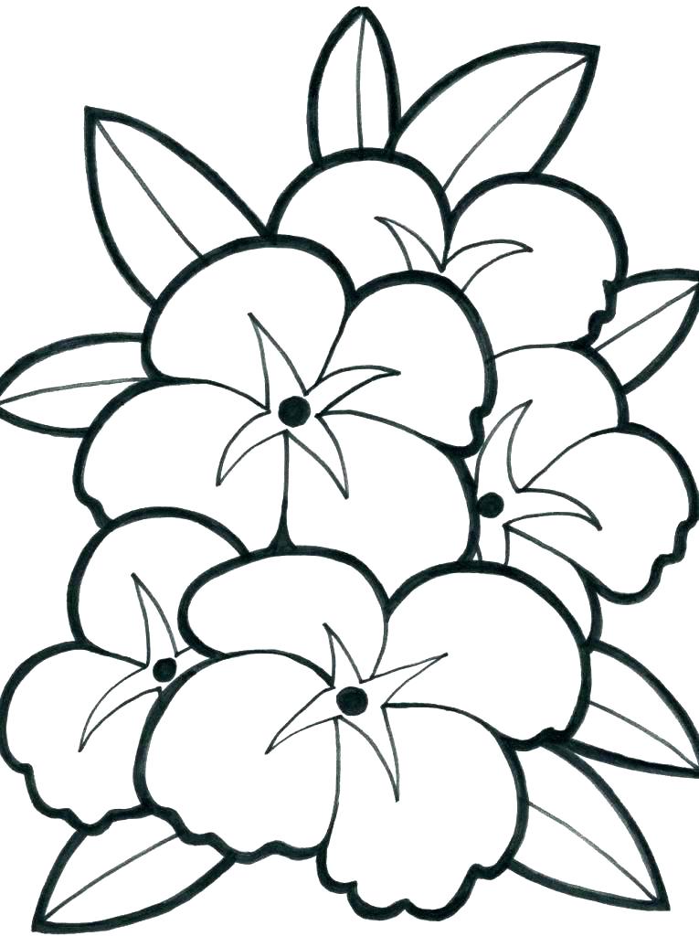 Cool Flower Coloring Pages Flower Coloring Pages For Kids Lotus 765x1024 Cool Flower Coloring Pages Flower Coloring Pages For Kids Lotus