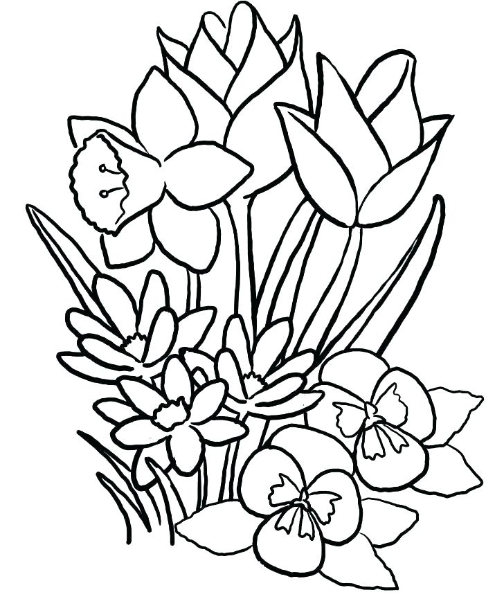 Really Hard Coloring Pages Hard Coloring Pages Of Flowers Abstract 728x878 Really Hard Coloring Pages Hard Coloring Pages Of Flowers Abstract