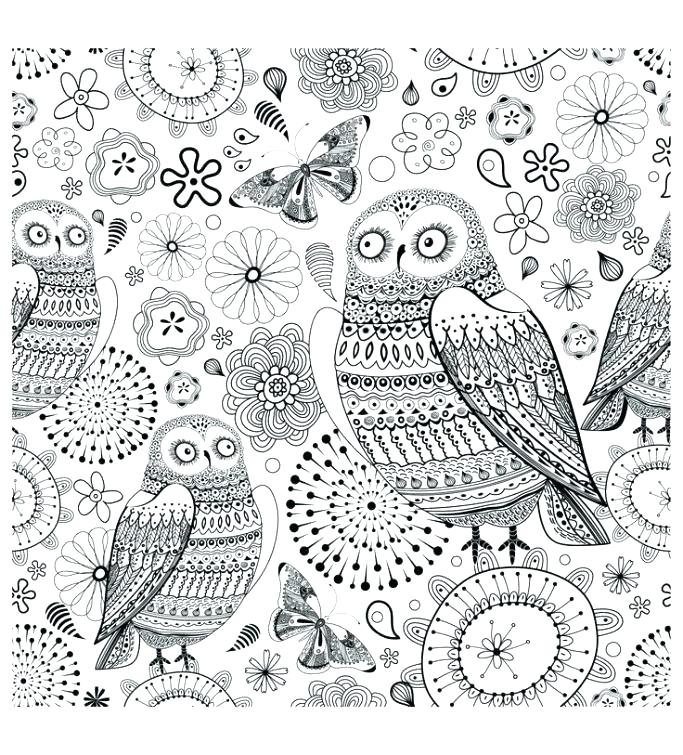 683x755 Owl Coloring Pages For Adults Or Owl Coloring Pages For Adults