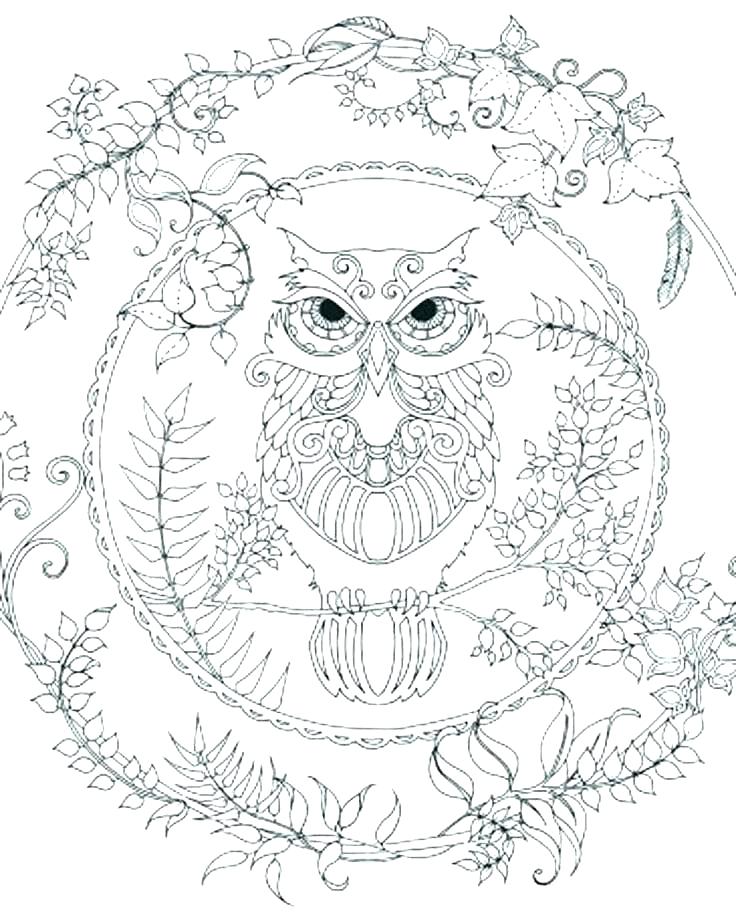 736x919 Abstract Owl Coloring Pages Abstract Coloring Page Abstract Owl