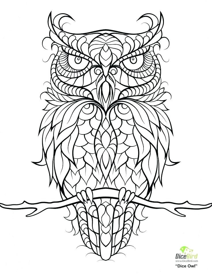 736x952 Abstract Owl Coloring Pages An Owl Abstract Coloring Pages