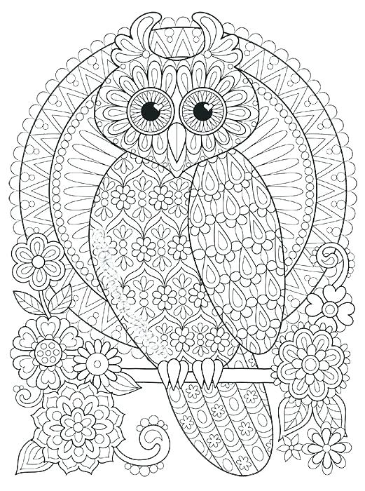521x700 Abstract Owl Coloring Pages Ing Ing Abstract Owl Colouring Pages