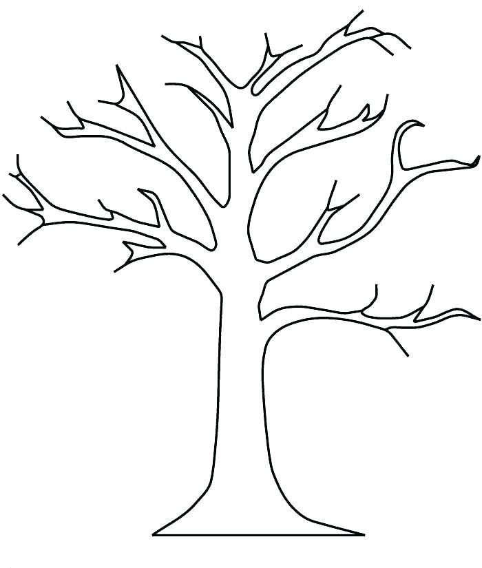 Fall Leaf Coloring Page Acacia Tree Coloring Page Fall Leaves 700x825 Fall Leaf Coloring Page Acacia Tree Coloring Page Fall Leaves
