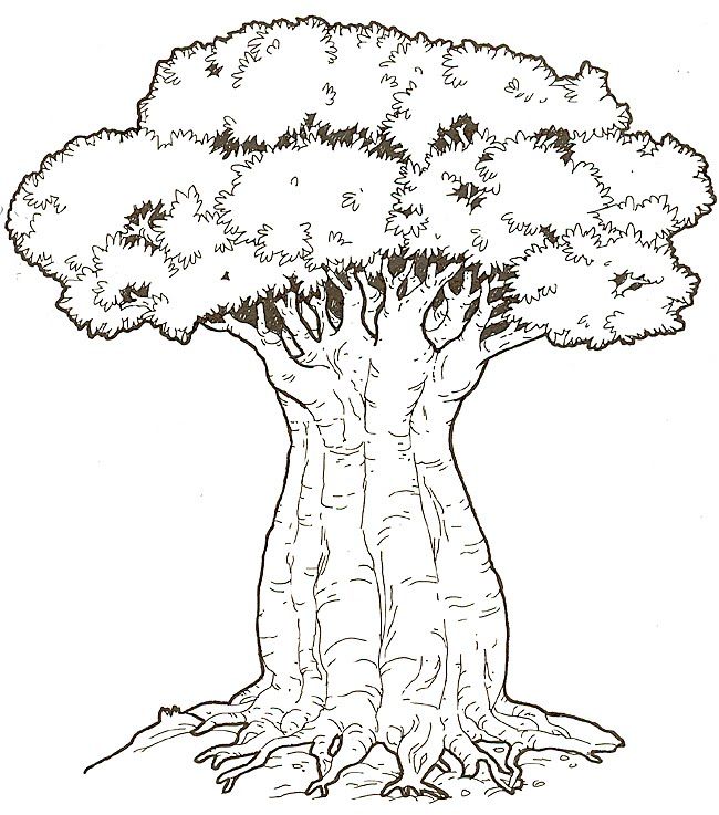 Kenya Crafts Baobab Trees Kenya, Craft 650x737 Kenya Crafts Baobab Trees Kenya, Craft