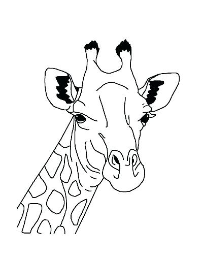 Acacia Tree Coloring Page 400x518 Acacia Tree Coloring Page