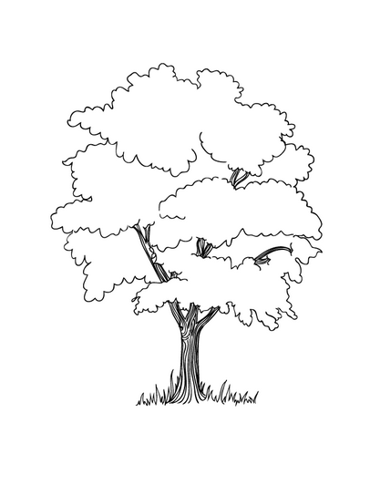 Apple Tree Amp Coloring Book 406x532 Apple Tree Amp Coloring Book