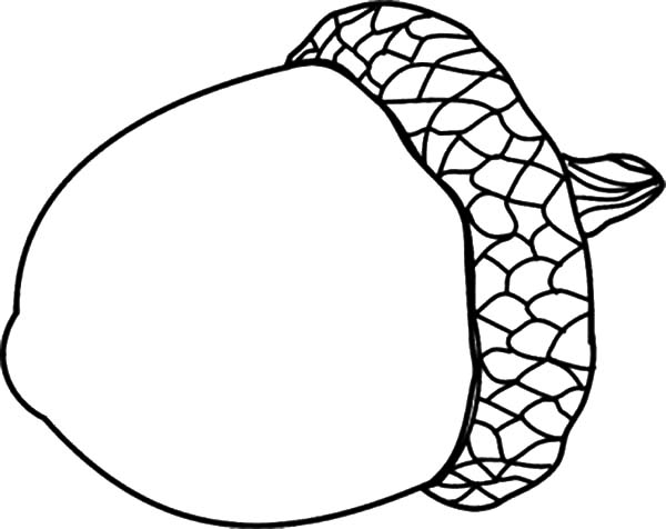 Acorn Coloring Pages 2 600x476 Acorn Coloring Pages 2