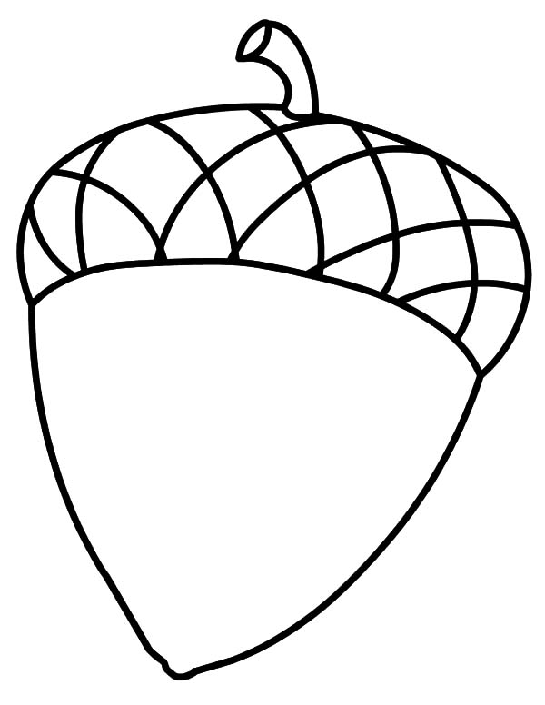 Acorn Coloring Sheet Acorn Color Pages Printables Coloring Pages 600x776 Acorn Coloring Sheet Acorn Color Pages Printables Coloring Pages