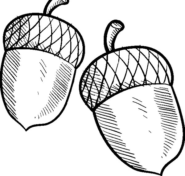 Acorn Coloring Sheet Charming Acorn Coloring Pages 26 In Coloring 600x571 Acorn Coloring Sheet Charming Acorn Coloring Pages 26 In Coloring