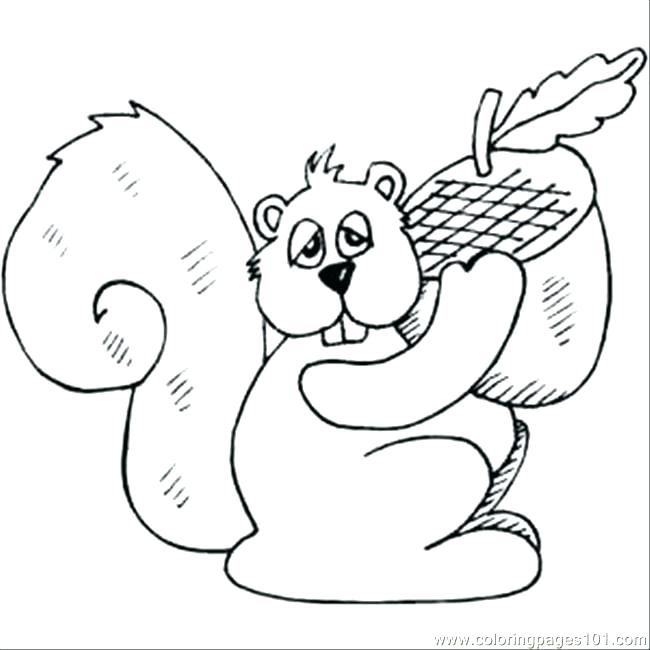 Flying Squirrel Coloring Page Coloring Pages Squirrel Squirrel 650x650 Flying Squirrel Coloring Page Coloring Pages Squirrel Squirrel