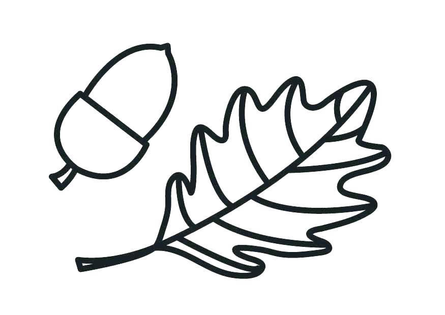 Squash Coloring Page Acorn Coloring Page Acorn Pictures To Color 875x620 Squash Coloring Page Acorn Coloring Page Acorn Pictures To Color