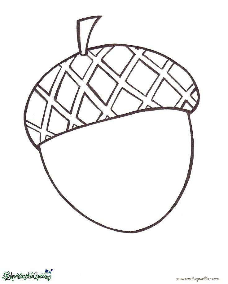 Acorn Coloring Pages Enchanting Acorn Coloring Pages 81 736x915 Acorn Coloring Pages Enchanting Acorn Coloring Pages 81
