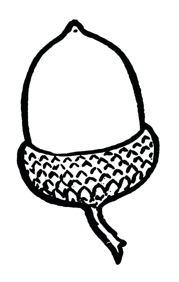 Acorn Coloring Page Acorn Outline Coloring Pages Acorn Coloring 600x948 Acorn Coloring Page Acorn Outline Coloring Pages Acorn Coloring