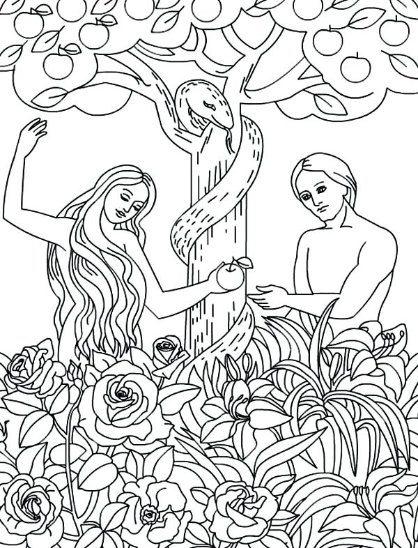 Adam And Eve Coloring Pages And Eve Coloring Sheets Adam Eve 600x786 Adam And Eve Coloring Pages And Eve Coloring Sheets Adam Eve