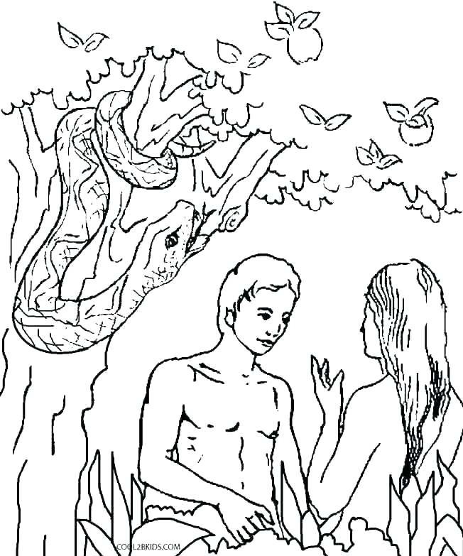 652x783 Adam And Eve Colouring Page And Eve Coloring Page Coloring Pages
