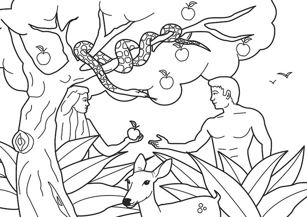 1048x741 Bible Coloring Pages For Adam And Eve