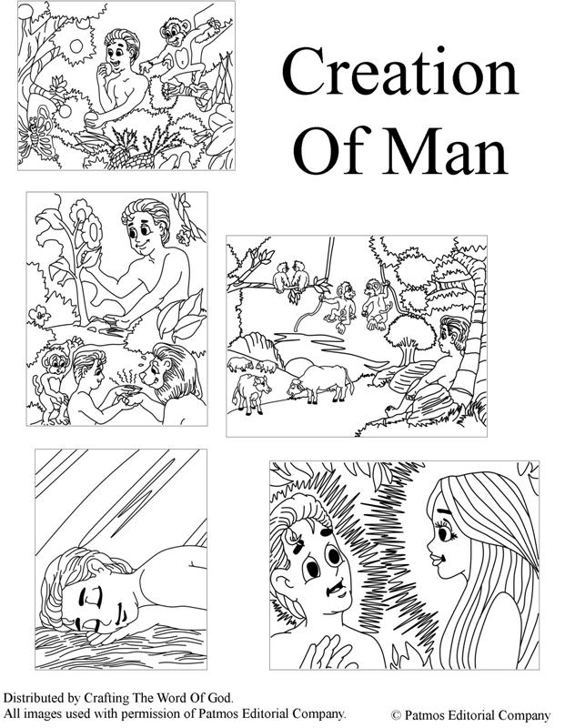 621x800 Creation Of Man Coloring Pages Crafting The Word Of God
