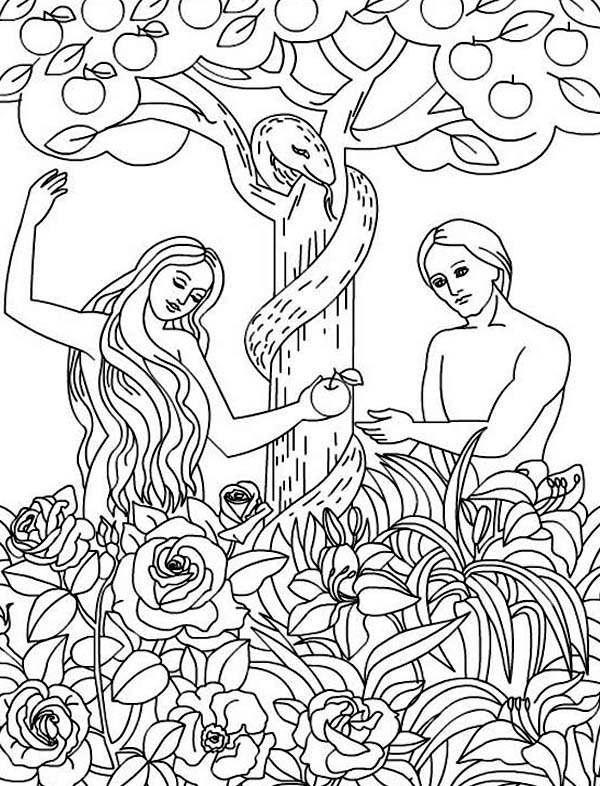 600x786 Pin By Debbie Hathcock On Bible Coloring