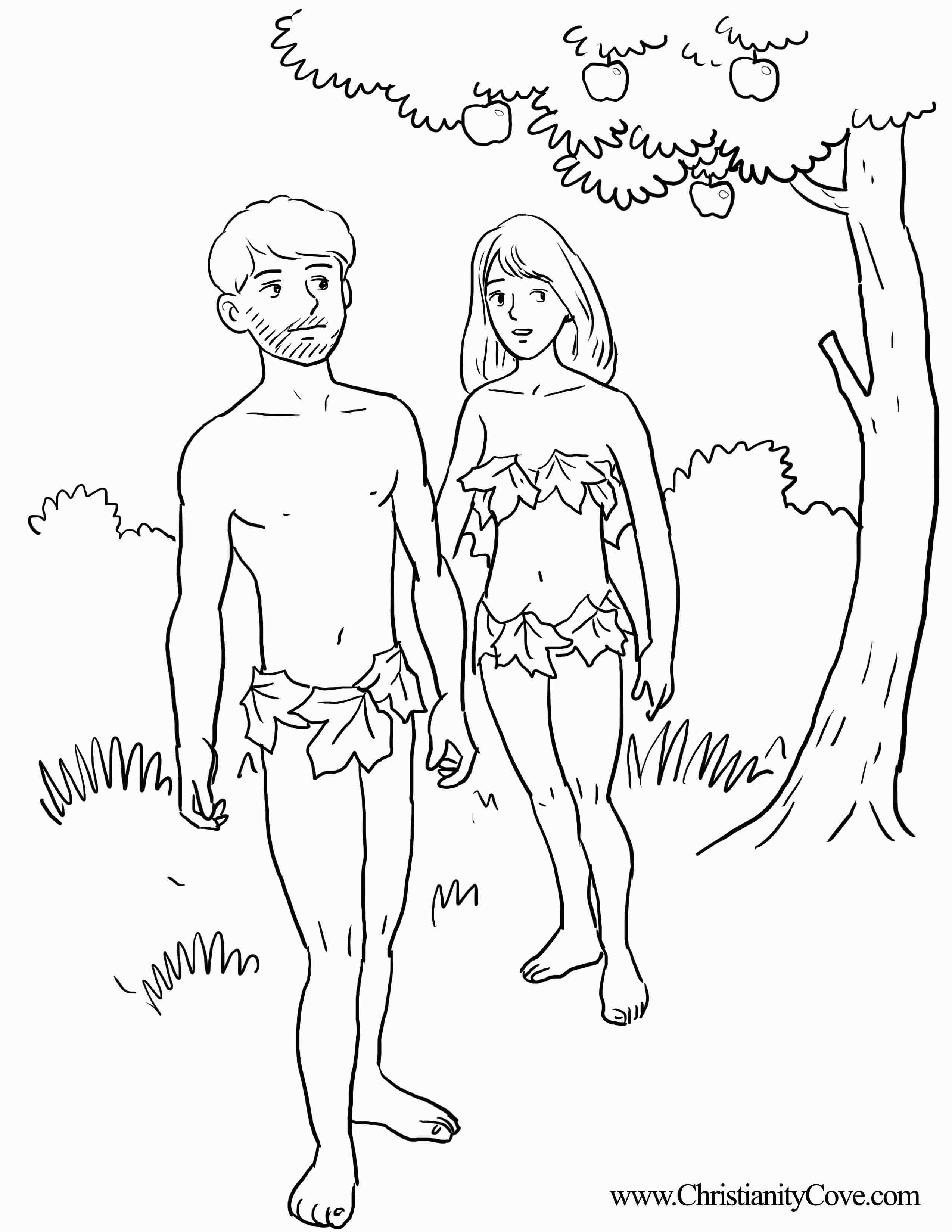 Adam And Eve Bible Coloring Pages Printable Gallery 2550x3300 Adam And Eve Bible Coloring Pages Printable Gallery
