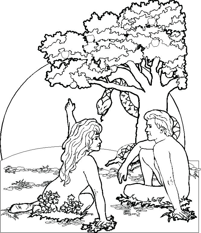 Adam And Eve Colouring Page Printable And Eve Coloring Pages Adam 666x770 Adam And Eve Colouring Page Printable And Eve Coloring Pages Adam