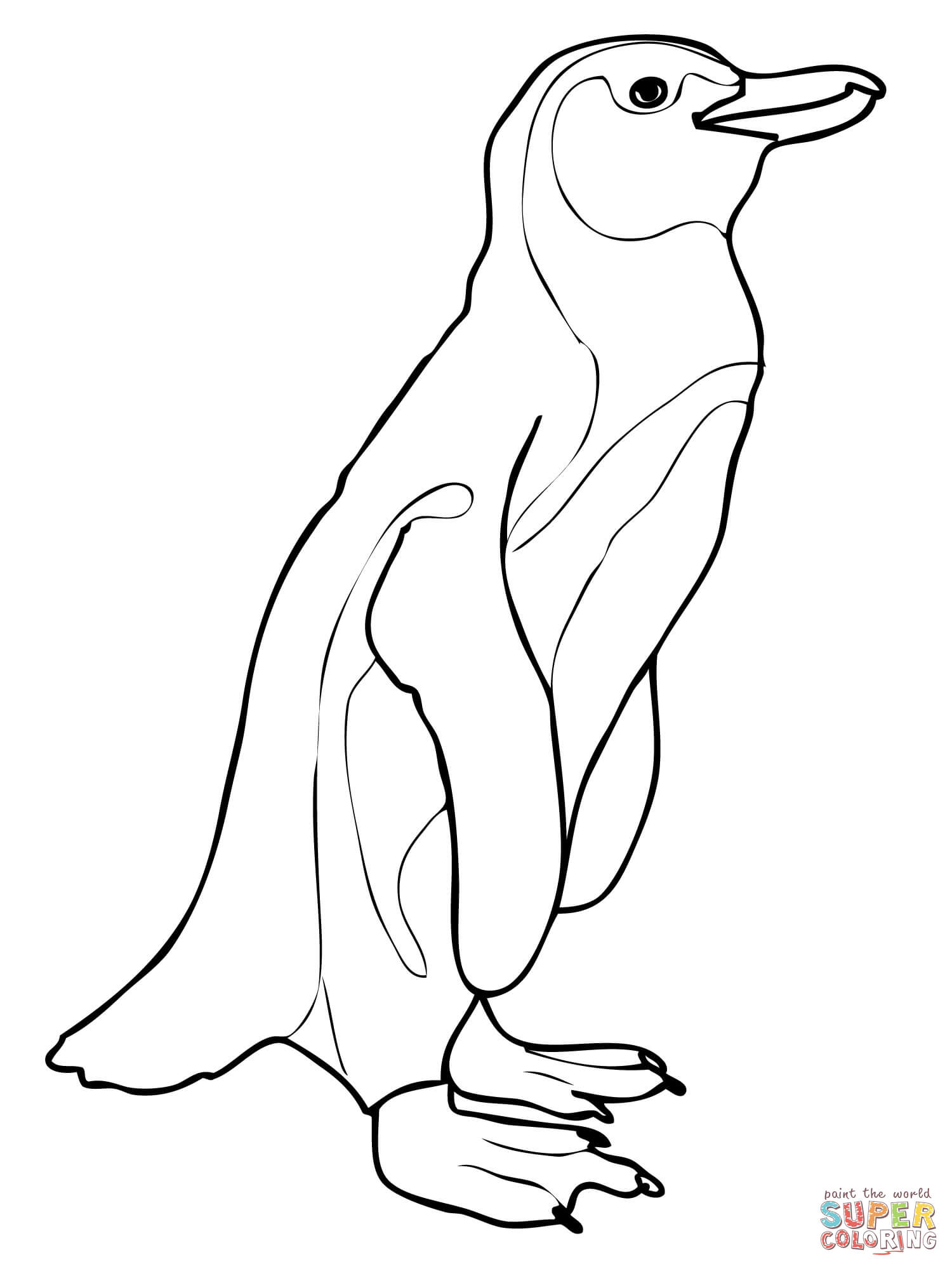 Image Gallery Humboldt Penguin Coloring Pages Awesome Adelie 1500x2000 Image Gallery Humboldt Penguin Coloring Pages Awesome Adelie