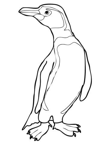 Adeliepenguinscoloringpage Humboldt Peruvian Penguin Coloring Page 360x480 Adeliepenguinscoloringpage Humboldt Peruvian Penguin Coloring Page