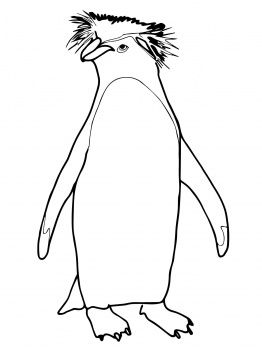 Penguin Coloring Pages Craft Ideas Penguins And School 262x350 Penguin Coloring Pages Craft Ideas Penguins And School