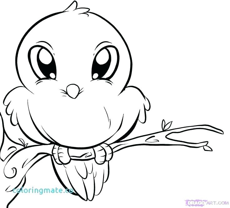 736x665 Adorable Coloring Pages