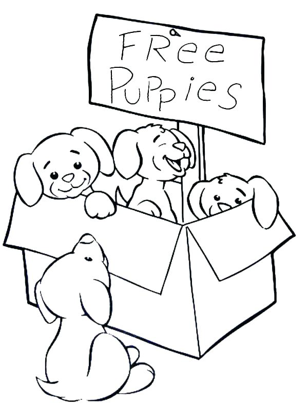 600x786 Puppies Coloring