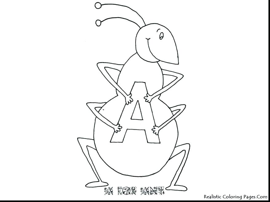 878x659 Alphabet Coloring Pages For Toddlers Astounding Alphabet Coloring