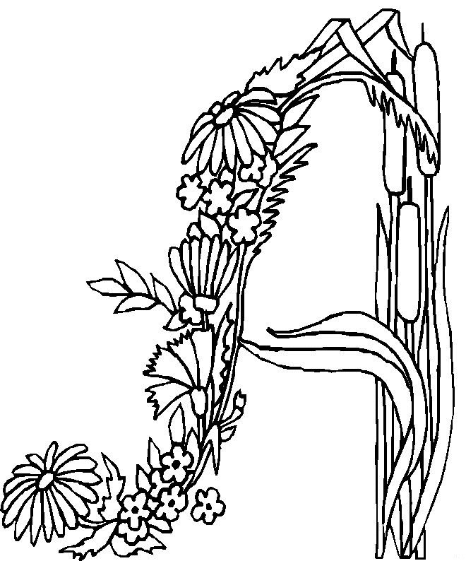660x794 Kids N 26 Coloring Pages Of Alphabet Flowers