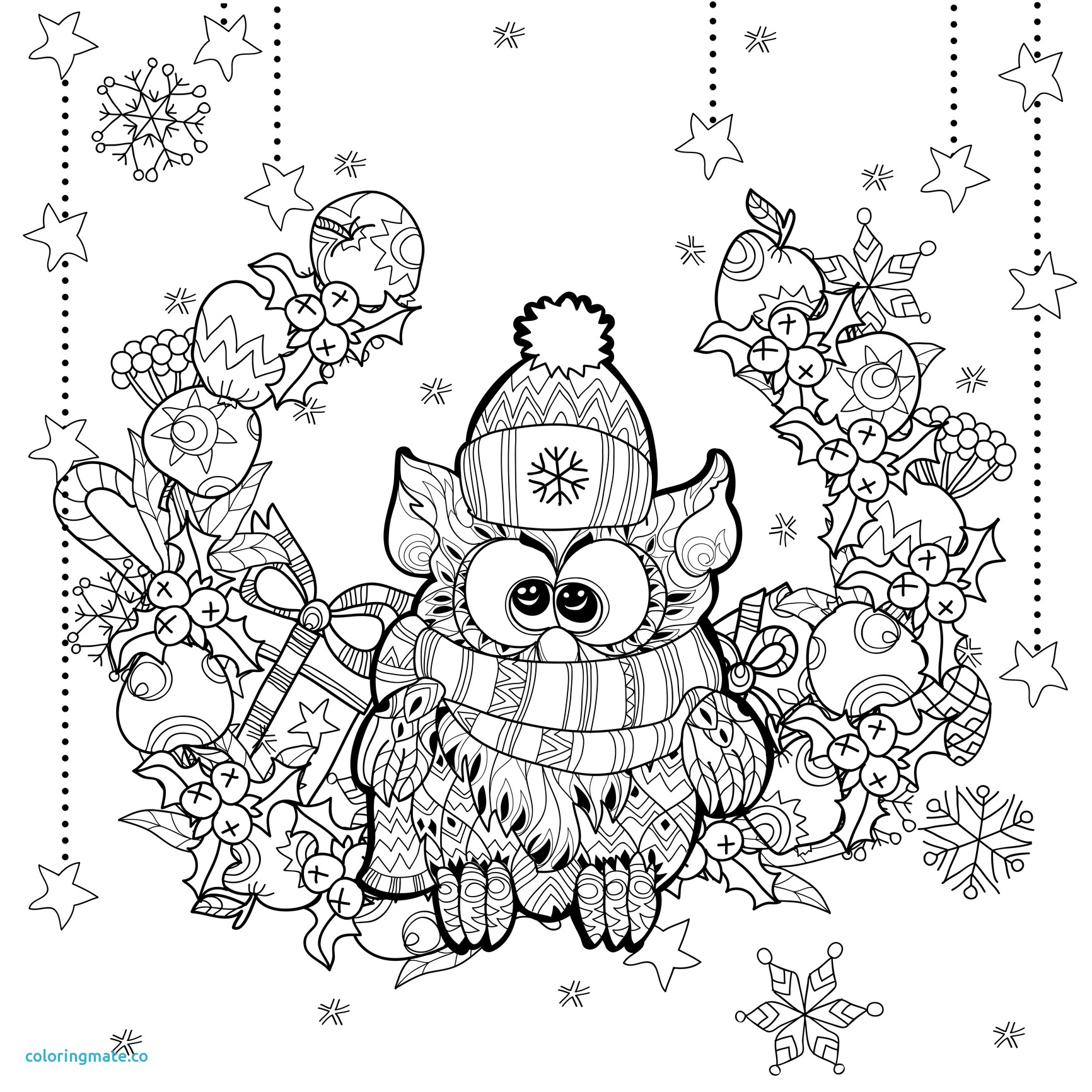 1732x1732 Owl Christmas Coloring Pages Printable Coloring For Kids 2018