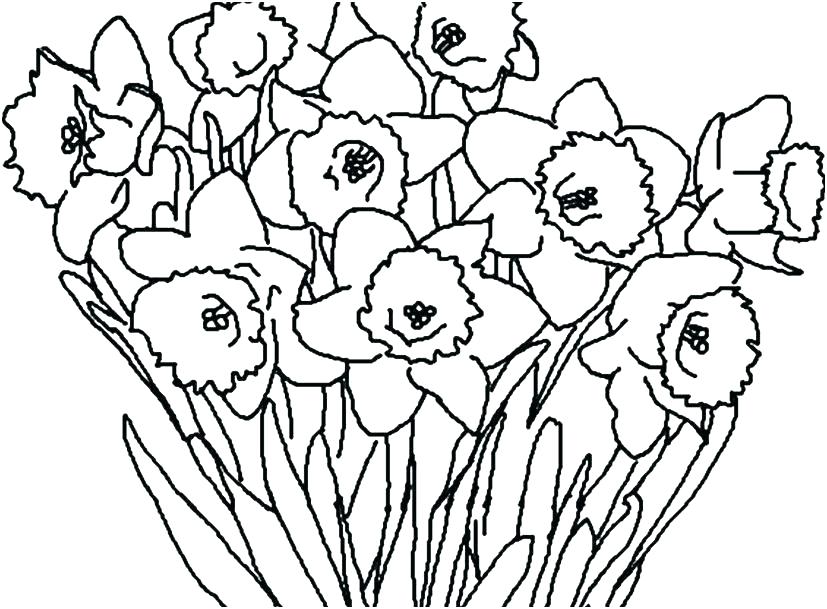 827x609 Animal Design Coloring Pages Flower Coloring Sheets Free Printable