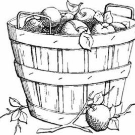 268x268 Fall Coloring Sheets Free Printable Autumn Coloring Sheets Autumn