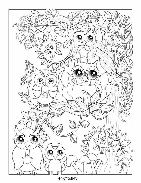 553x720 269 Best Owl Coloring Pages For Adults Images On Owls