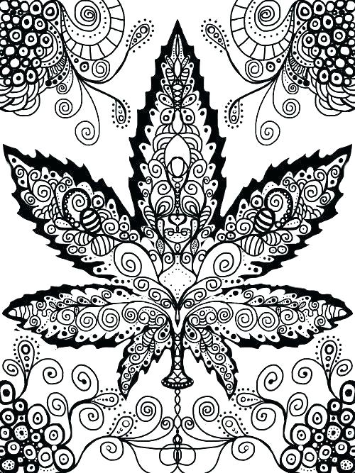 500x667 Leaf Coloring Pages For Adults