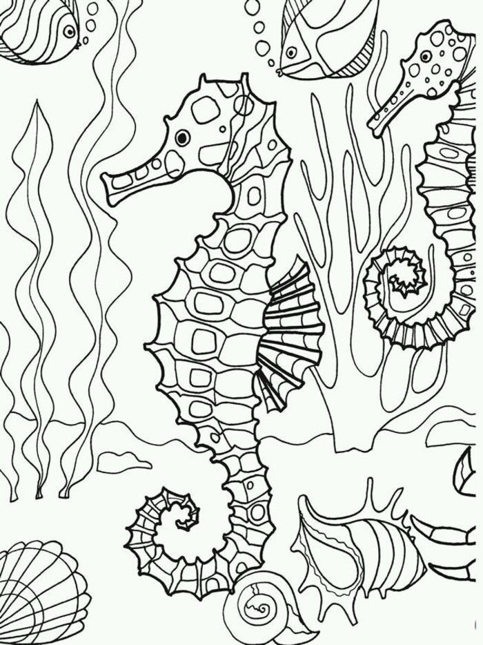 700x934 80 Best Adult Coloring Pages Beach Amp Travel Images