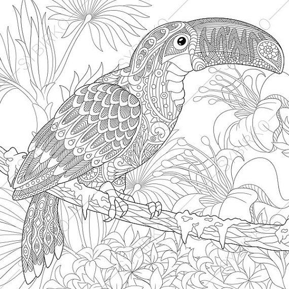 Adult Coloring Pages. Toucan. Zentangle Doodle Coloring Pages 570x570 Adult Coloring Pages. Toucan. Zentangle Doodle Coloring Pages