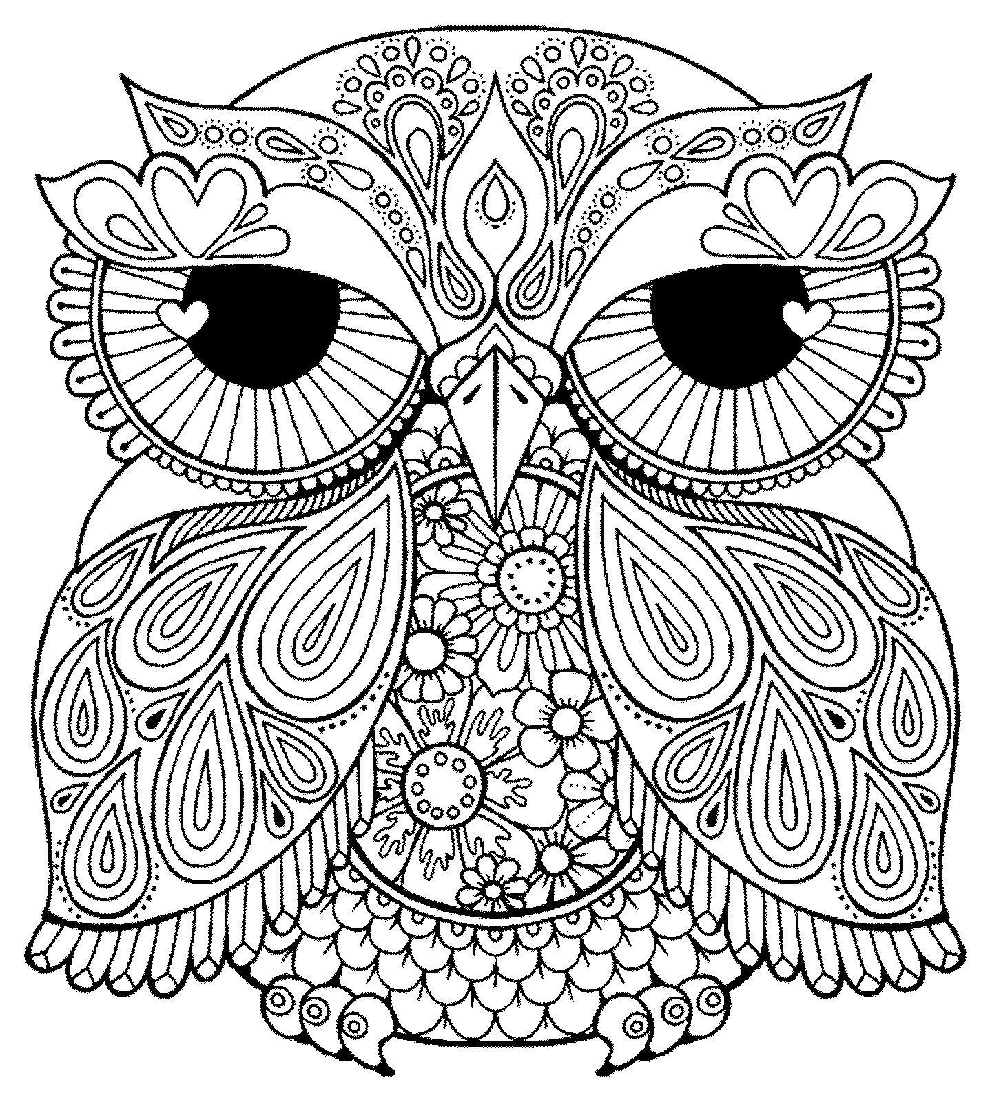 Owls Coloring Pages Free Noticeable Of For Adults Acpra 1437x1600 Owls Coloring Pages Free Noticeable Of For Adults Acpra