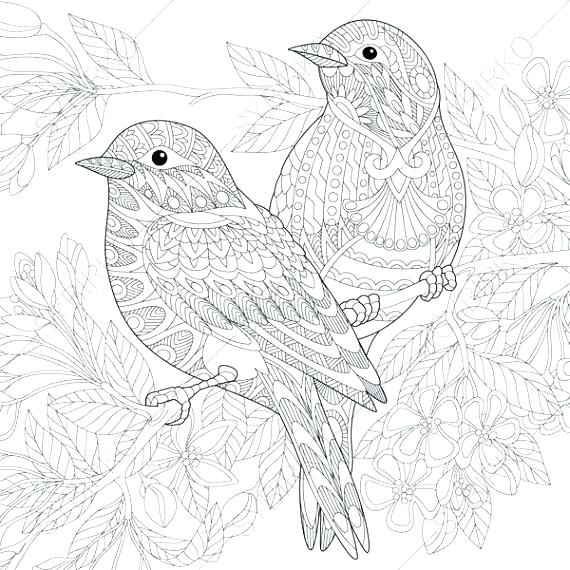 Realistic Bird Coloring Pages Birds Coloring Page 6 2 The Angry 570x570 Realistic Bird Coloring Pages Birds Coloring Page 6 2 The Angry