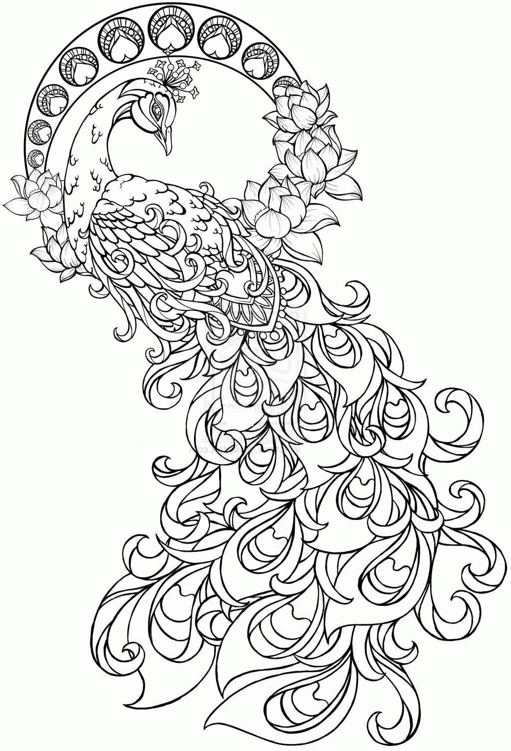 Unique Peacock Page To Color Collection Printable Coloring Sheet 1024x1505 Unique Peacock Page To Color Collection Printable Coloring Sheet