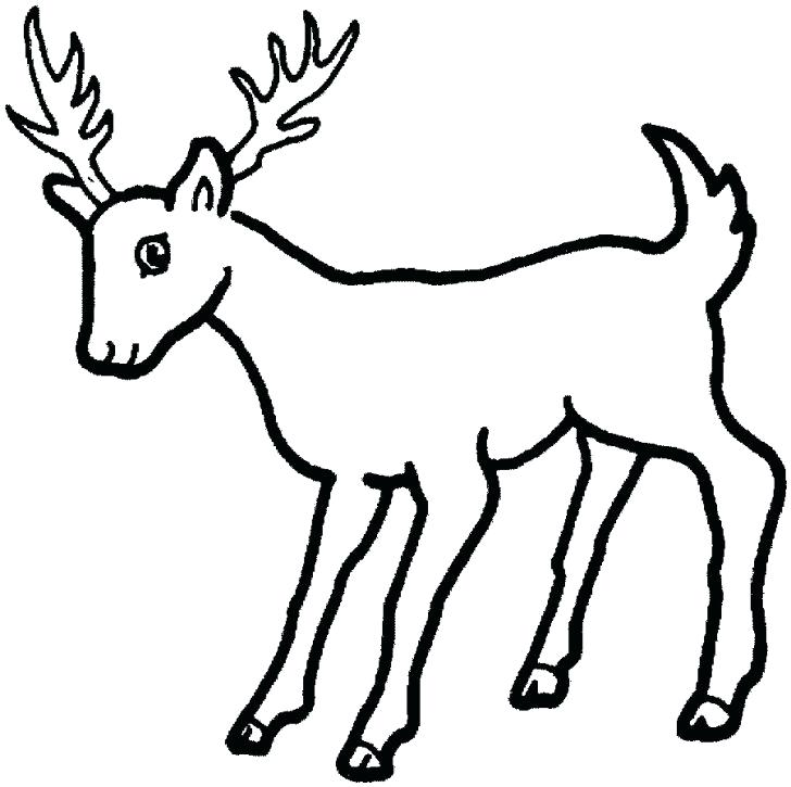 728x725 Baby Deer Printable Coloring Pages Of Animal Adult Mule Whitetail