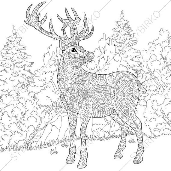 570x570 Deer. Reindeer. Coloring Pages. Animal Coloring Book Pages