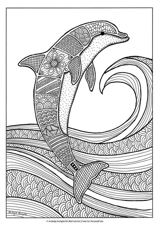 564x797 Dolphin Adult Coloring Pages Collection Free Coloring Sheets