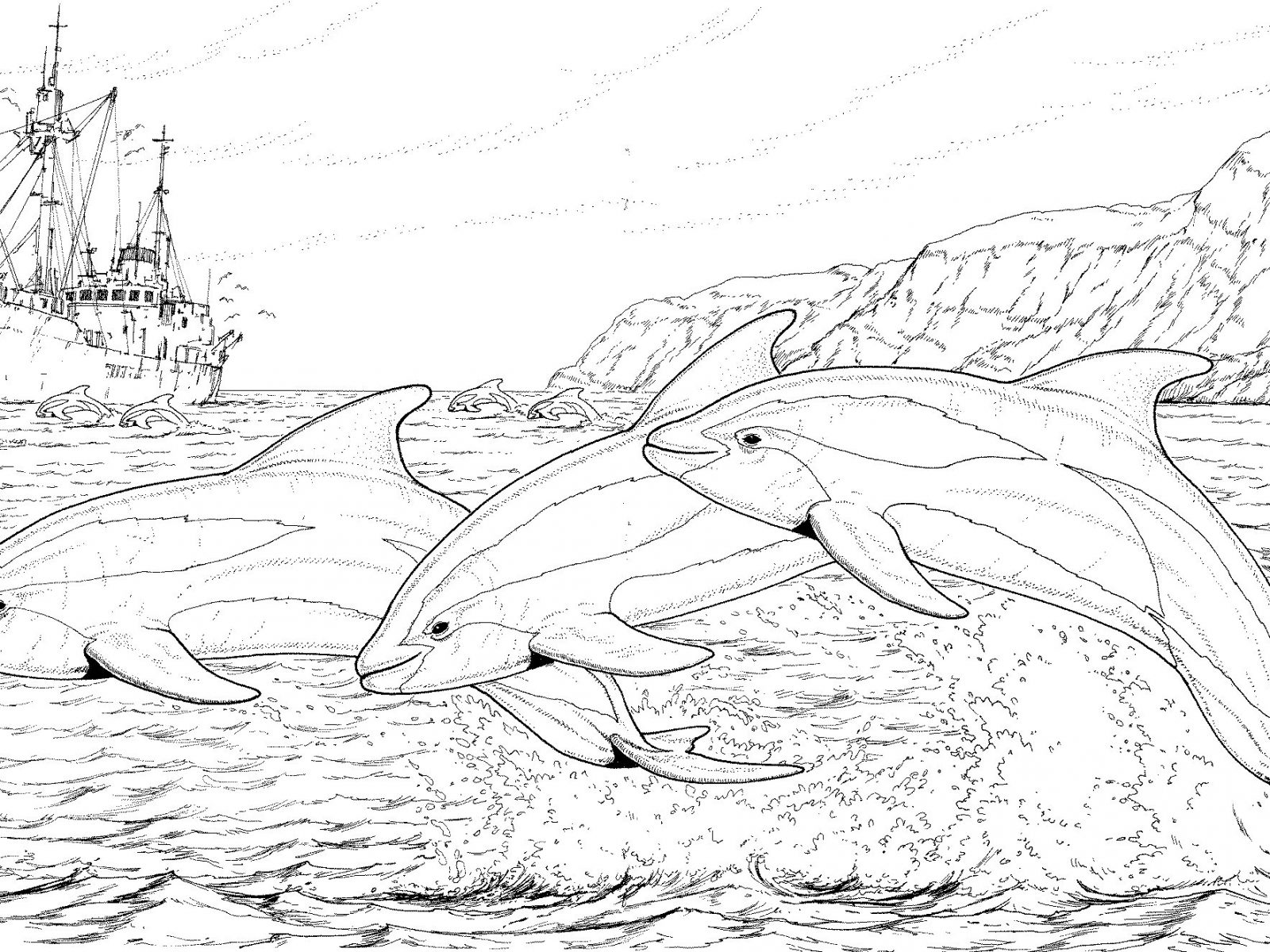 1600x1200 Dolphins Jumping Out Of Water Coloring Page Free Pages Dolphin