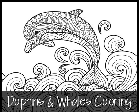 455x367 Dolphins And Whales Coloring Pages