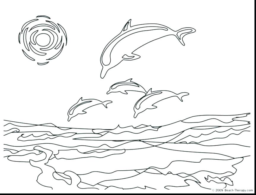 863x657 Printable Dolphin Coloring Pages Also Scarce Printable Dolphin